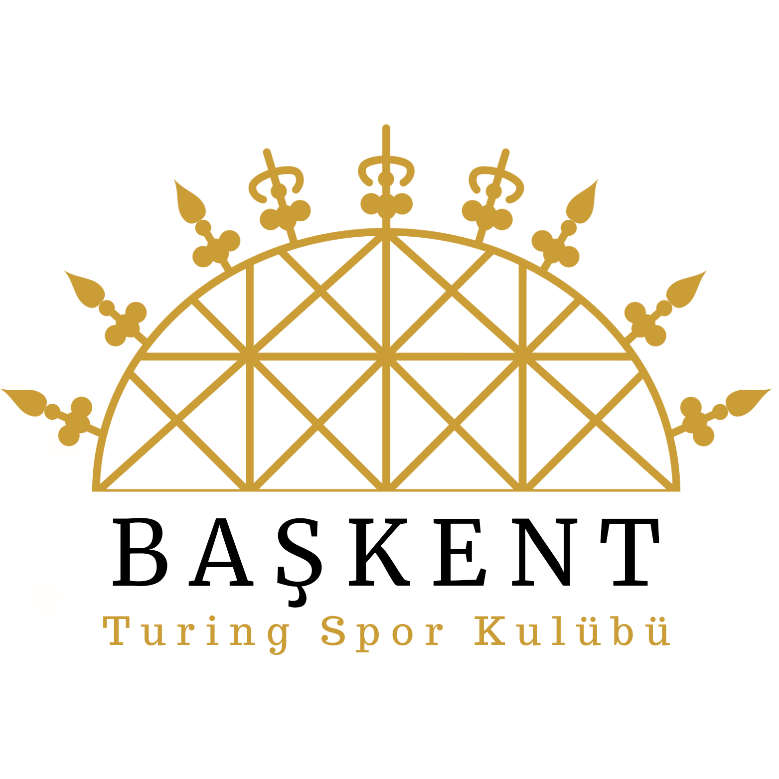 BAŞKENTTURING